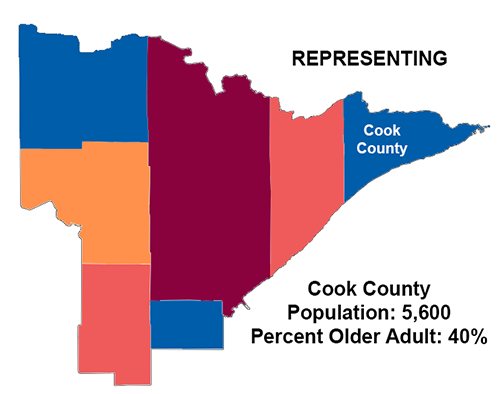 Colorful graphic representation of Arrowhead region of Minnesota highlighting Cook Co