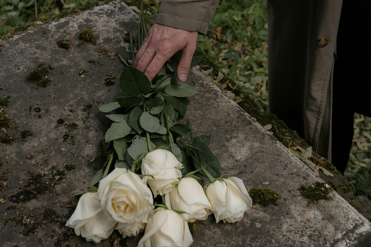 Seven fresh white roses being placed on a grave maker